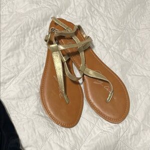Gold and Brown Thong Sandals with Adjustable Ankle Straps